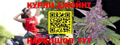прущие грибы Новодвинск