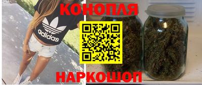 прущие грибы Новодвинск