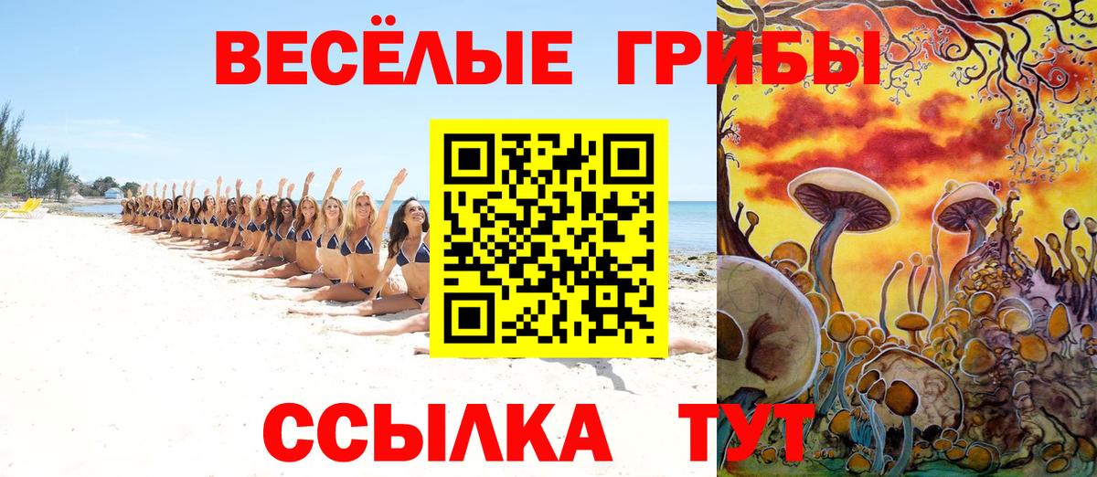 Галлюциногенные грибы мицелий Тайшет